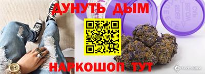 крисы Коммунар