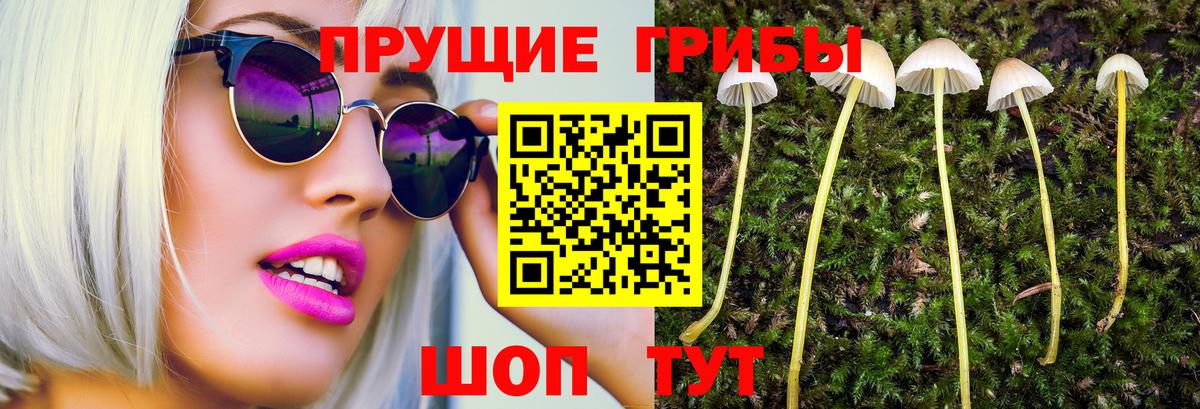 Ипатово  Псилоцибиновые грибы Magic Shrooms  Вход с VPN  Псилоцибиновые грибы ЛСД 